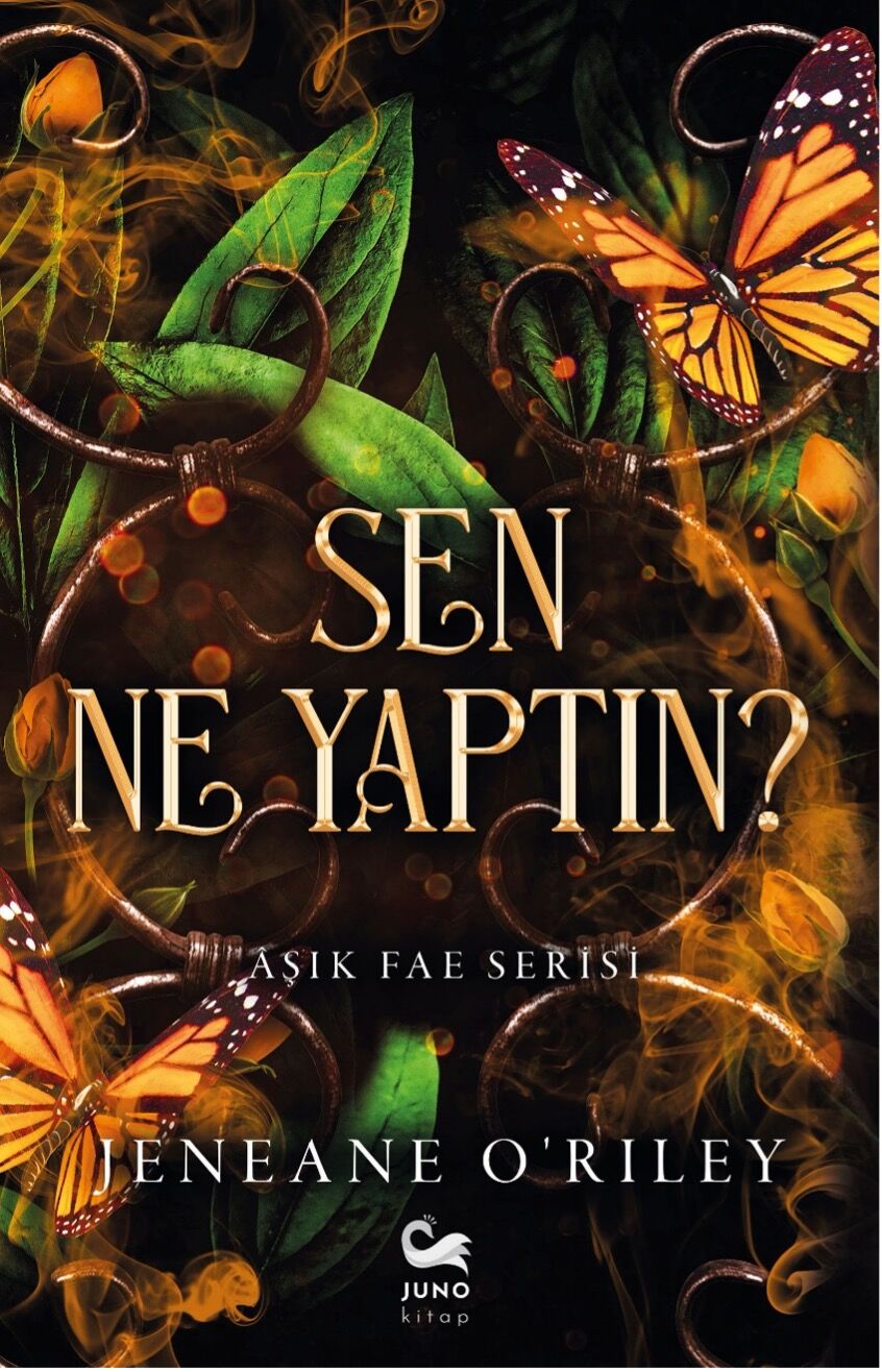 SEN NE YAPTIN ?