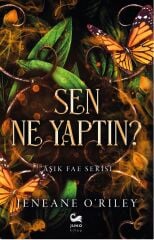 SEN NE YAPTIN ?