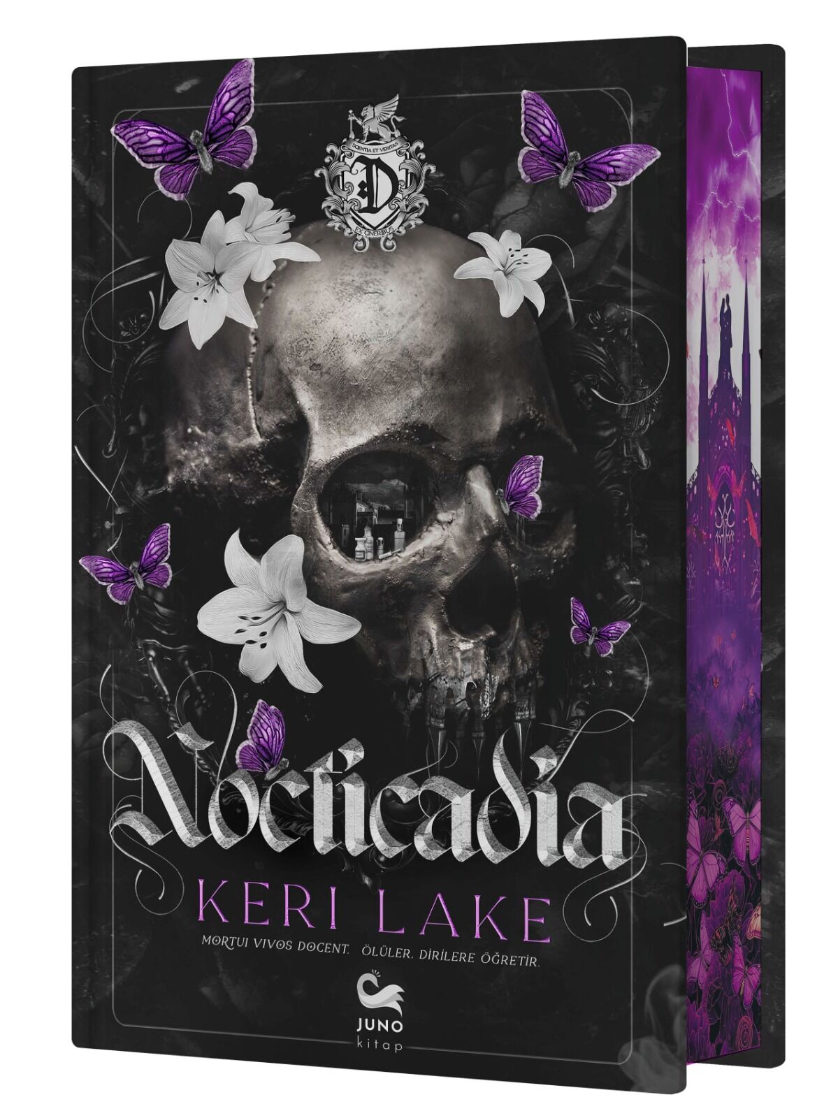 NOCTICADIA